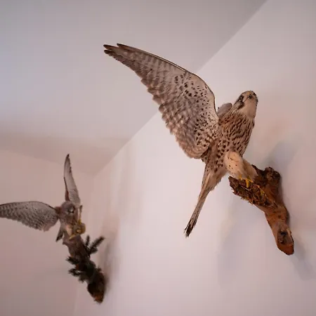 Lägenhet Inge Grainau