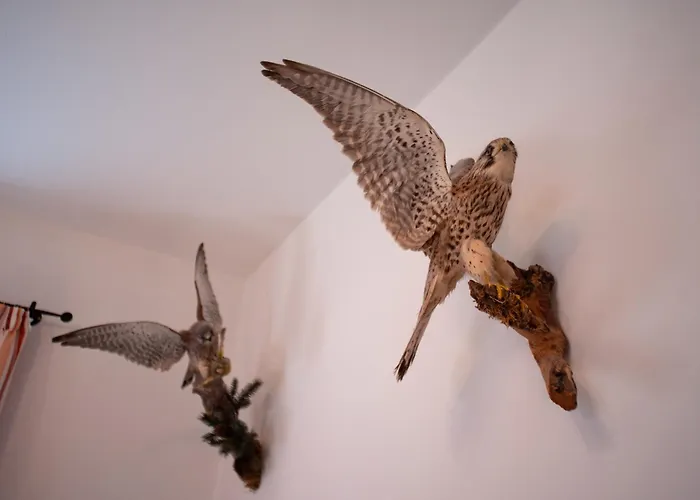 Apartment Inge Grainau